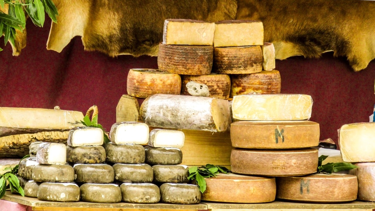 quesos el estanque, queso el estanque