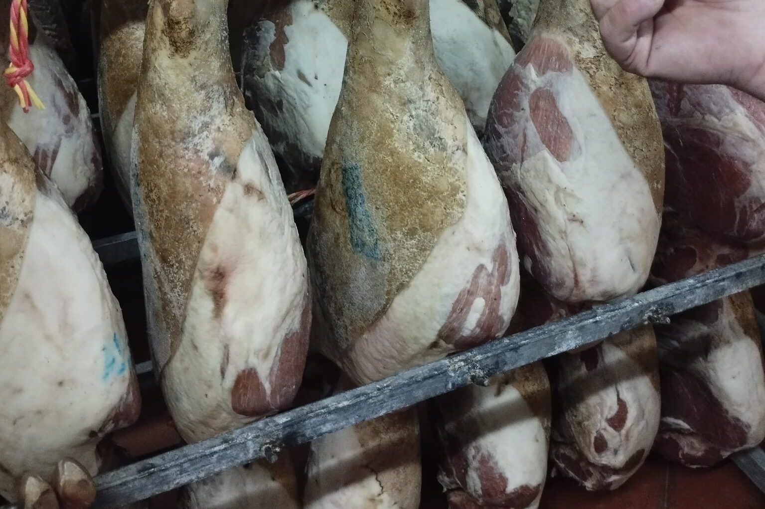 cropped-donde-comprar-jamon-en-internet.jpeg donde comprar jamón en internet